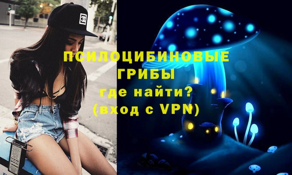 первитин Балахна