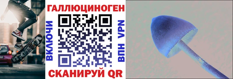 что такое   Белозерск  Псилоцибиновые грибы прущие грибы 